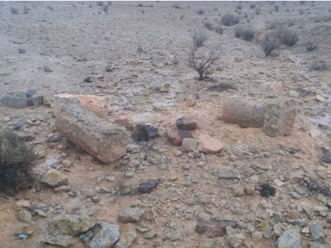 [צילום: בית הספר שדה במדרשת שדה בוקר]
