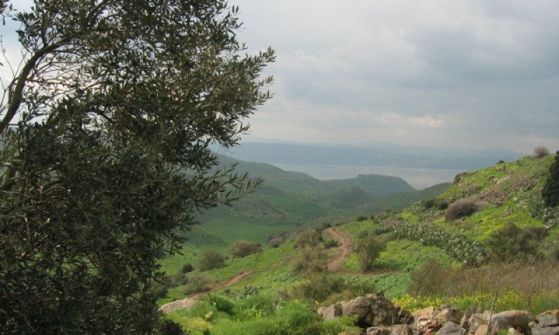 רמת הגולן