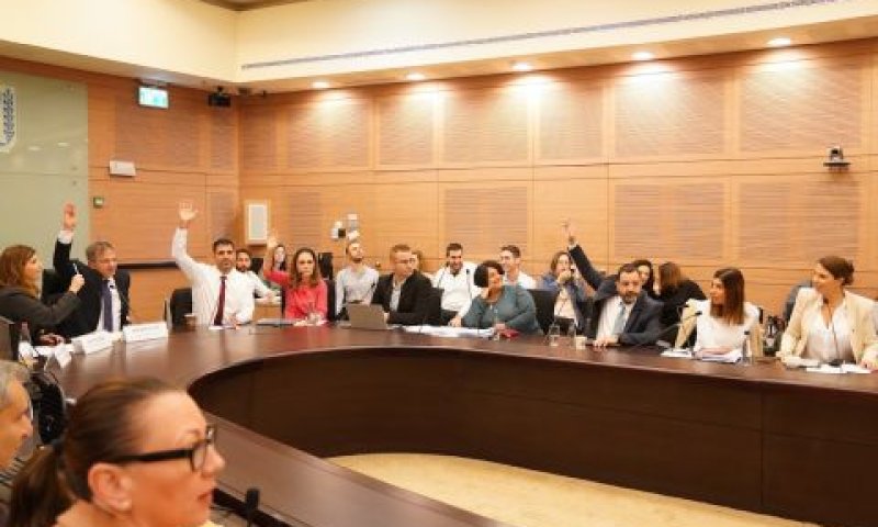 ההצבעה בוועדה [צילום: דני שם-טוב/דוברות הכנסת]