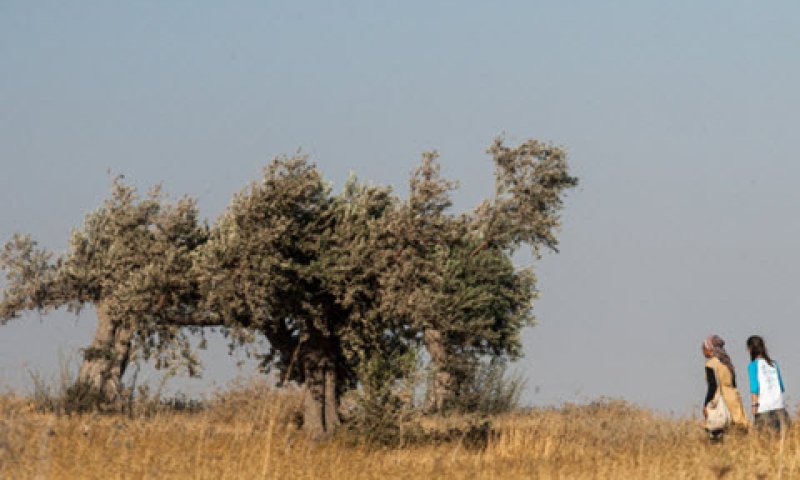 רמת מגרון [צילום: אורי לנץ/פלאש 90]