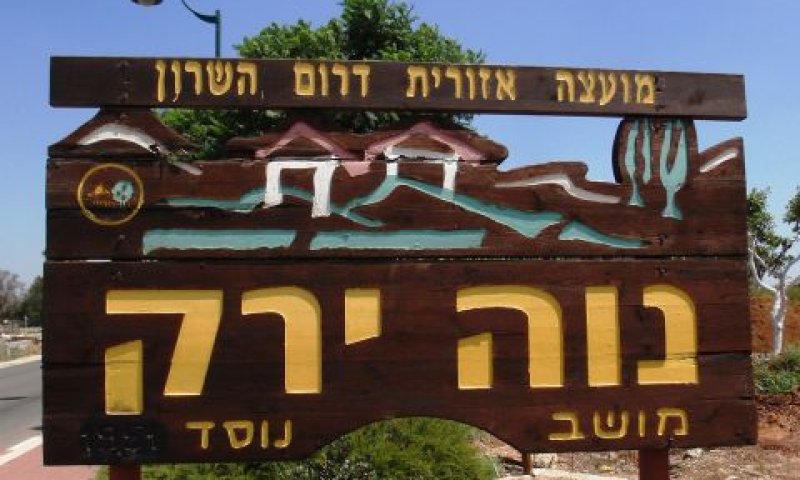 [צילום: אריאל פלמון]
