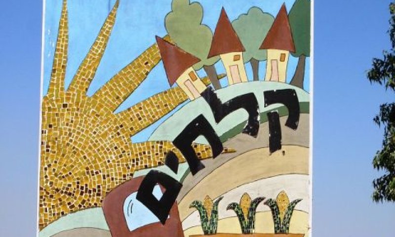 קלחים. על גגות לולים [צילום: אריאל פלמון]
