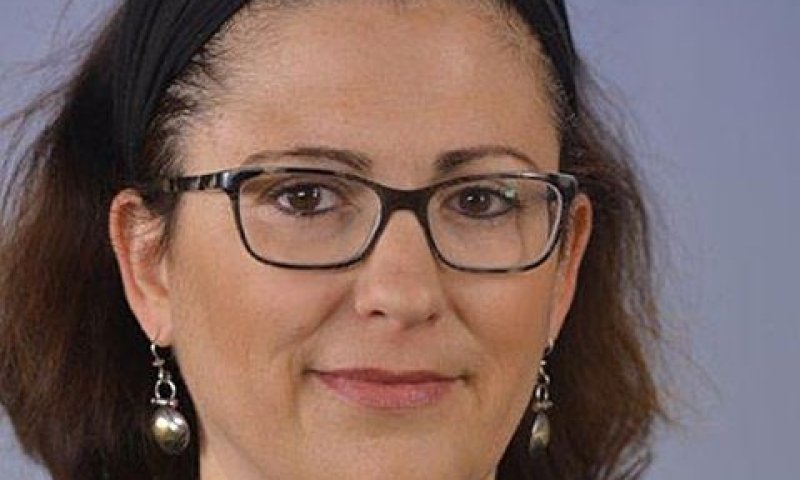 נצח-דולב. קולות סותרים