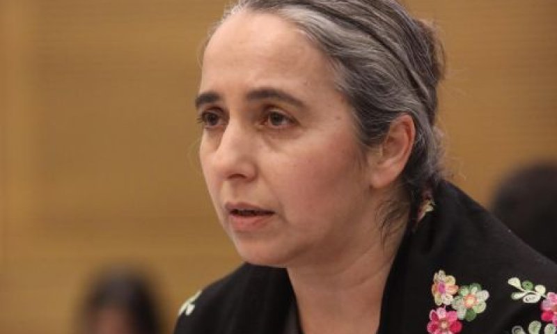 ענת גואטה. פועלים להסדרת שוק ההון [צילום: יצחק הררי/דוברות הכנסת]