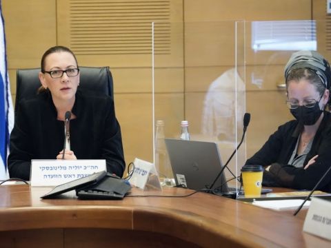 יו"ר הוועדה יוליה מלינובסקי [צילום: דני שם-טוב/דוברות הכנסת]