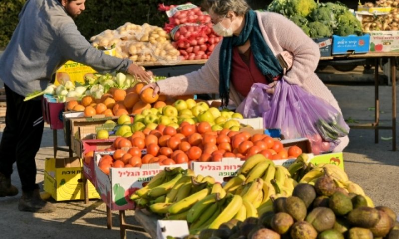 מחירי ירקות טריים ירדו ב-1.9% [צילום: מיכאל גלעדי, פלאש 90]