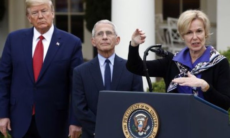 2020. דבורה בירקס, אנתוני פאוצ'י, דונלד טראמפ [צילום: פטריק סמנסקי/AP]