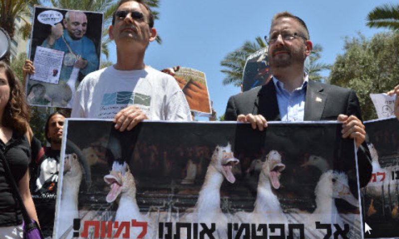 [צילום: יח"צ]