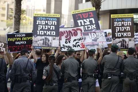 מול החקלאים הפגינו אקטיביסטים טבעונים [צילום: פלאש 90]