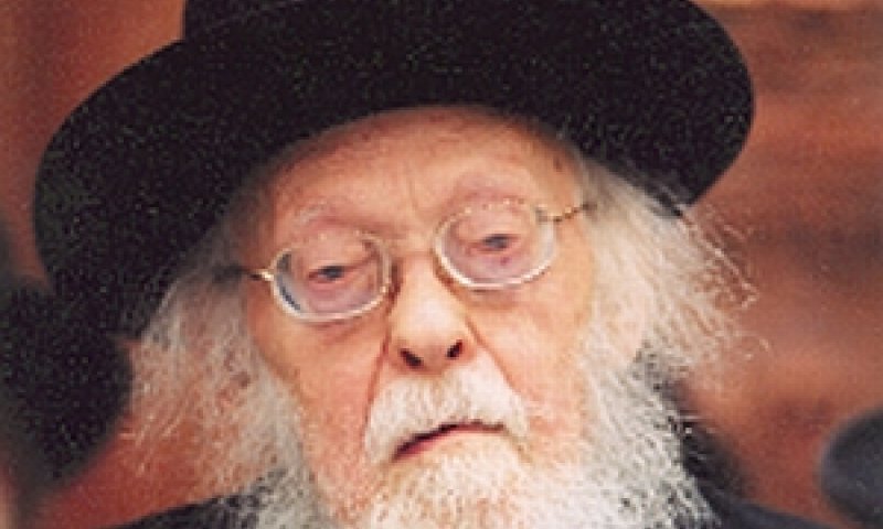 הרב אלישיב