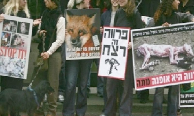 הפגנות נגד שימוש בפרוות [צילום ארכיון: AP]
