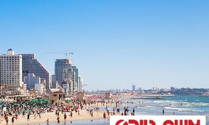 דורשת לזכות במכרז