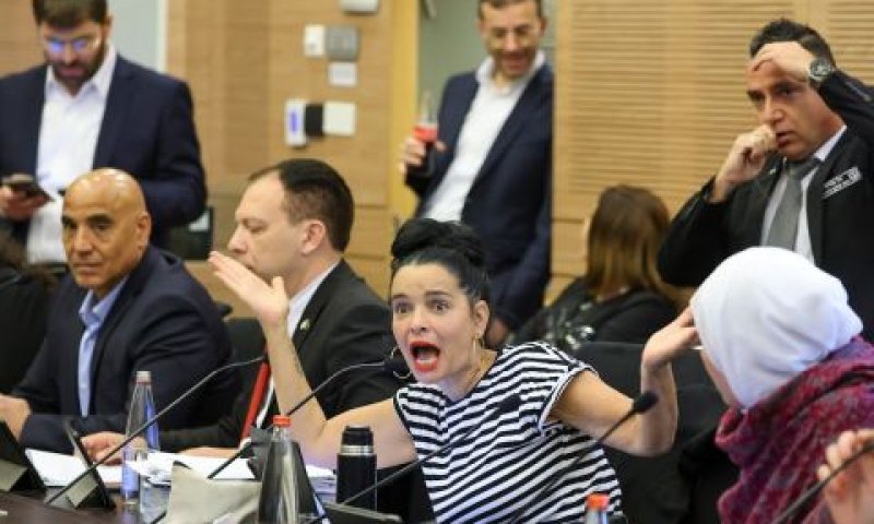 אימאן ח'טיב יאסין, יסמין פרידמן, ולדימיר בליאק, חמד עמאר [צילום: נועם מושקוביץ/דוברות הכנסת]