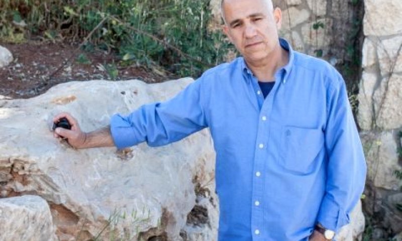 יונה. הפקיד ערב הקריסה [צילום: פלאש 90]