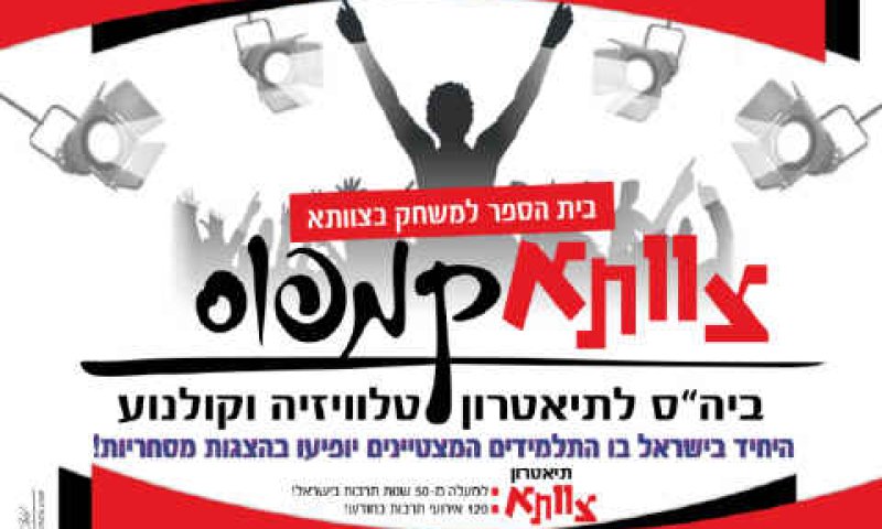שילוב בהפקות מסחריות