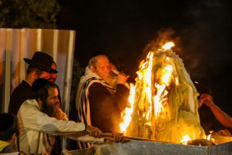 ברלנד בהדלקת המדורה [צילום: דוד כהן/פלאש 90]