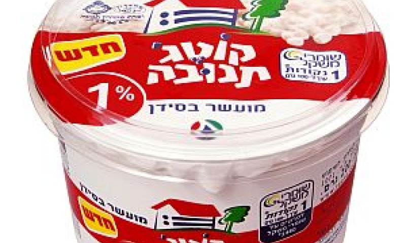 [צילום: יוסי רור]