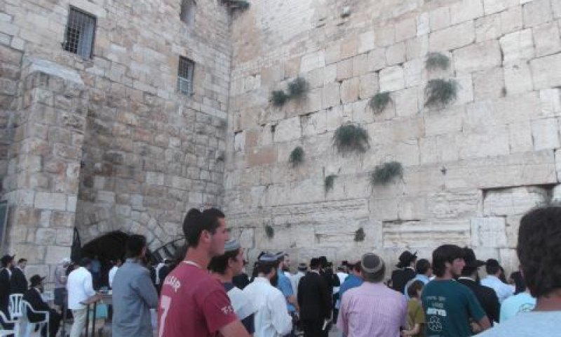 [צילום: איתמר לוין]