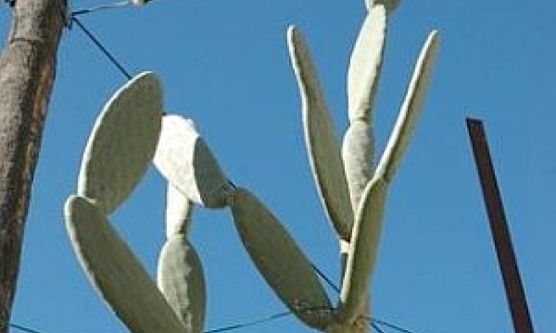 צילום מתוך התערוכה