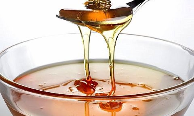החורף סייע לתפוקת הדבש [צילום: מועצת הדבש]