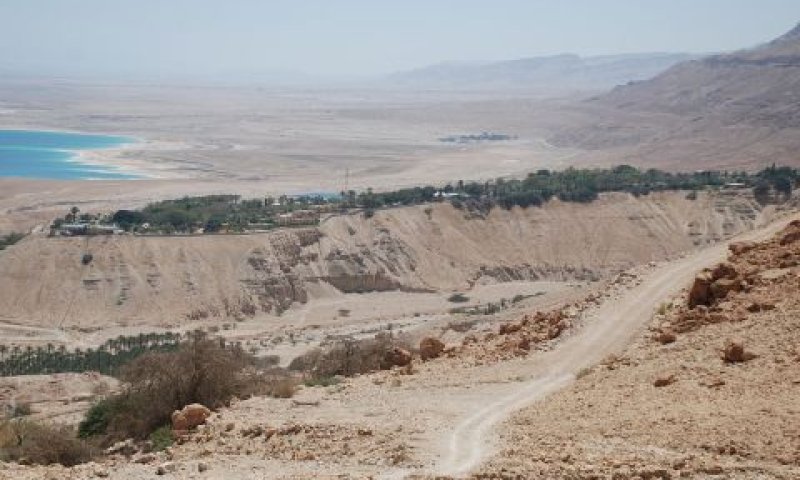 [צילום: סטפני גרונמן]