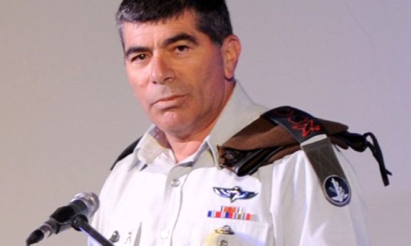 אשכנזי. כתף קרה [צילום: דו"צ]