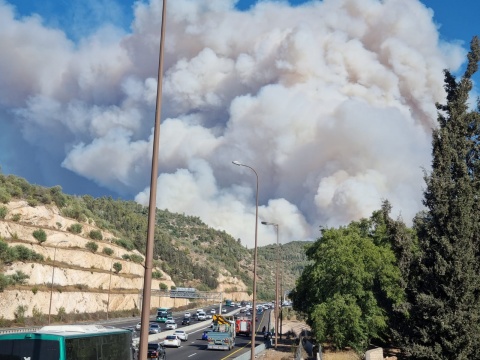עשן נצפה משער הגיא ועד ירושלים [צילום: אפרת רוחין רשות הטבע והגנים]