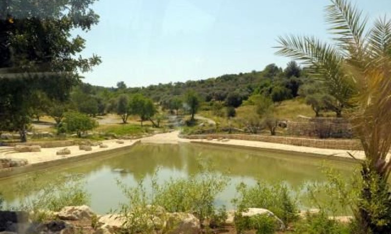 פארק קנדה [צילום: אבי חיון]