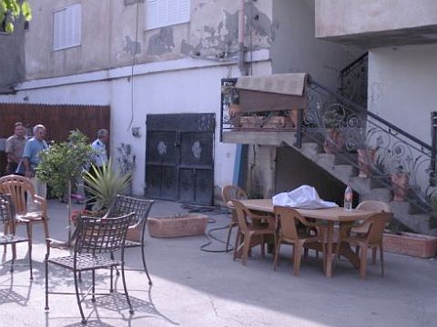 המפעל הפיראטי [צילום: מיקי אריאלי]