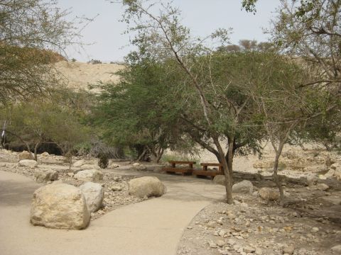 [צילום: רשות הטבע והגנים]