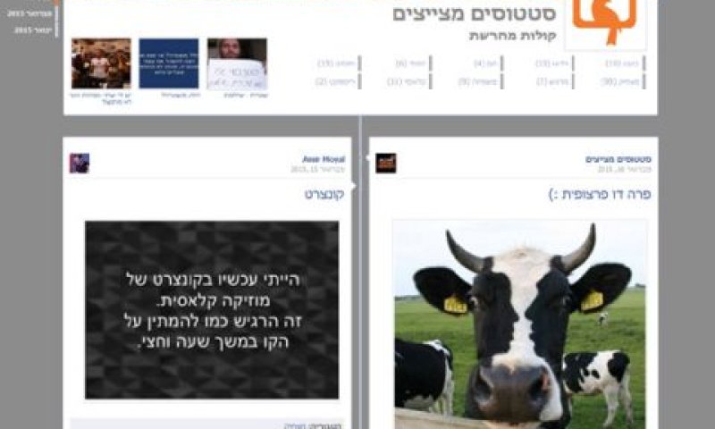 הפרה נקודתית בלבד