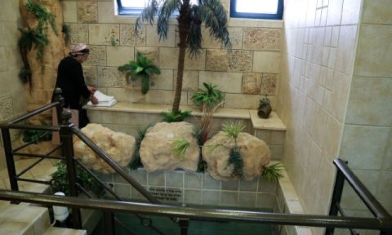 [צילום: גרשון אלינסון/פלאש 90]