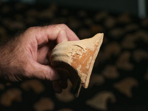 טביעת חותם דו-כנפית על גבי ידית קנקן ששימש בימי המנהל היהודאי שאחרי מסע סנחריב [צילום: יולי שוורץ, רשות העתיקות]