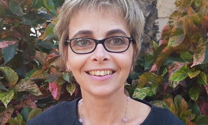 הלפרין. תטפל גם באוליגופולים בענף הבנקאות [צילום: אבנר הלפרין]
