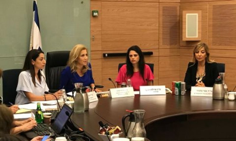 "אמירה מוסרית של מדינת ישראל" [צילום: דוברות הכנסת]