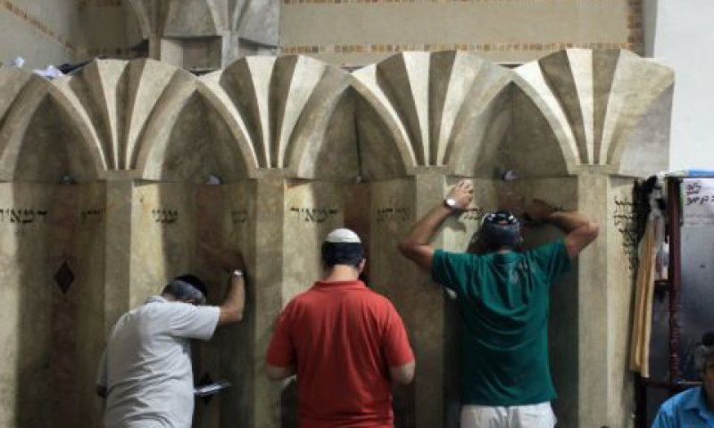 אלהא דמאיר ענני [צילום: פלאש 90]