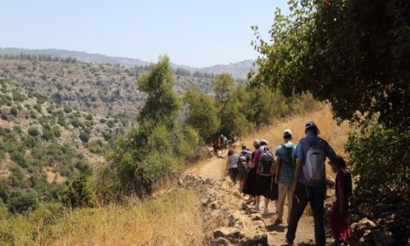מטיילים בנחל עמוד [צילום: יעקב נעמי/פלאש 90]