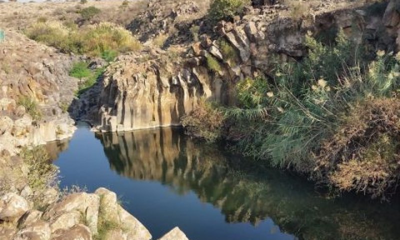 נחל יהודיה [צילום: ג'ורג'י נורקין, רט"ג]