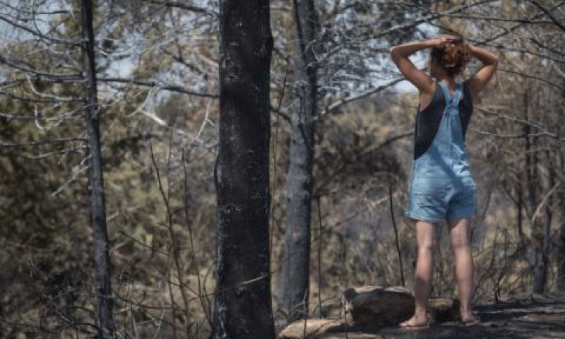 נזקי השרפה במבוא מודיעים [צילום: הדס פרוש/פלאש 90]