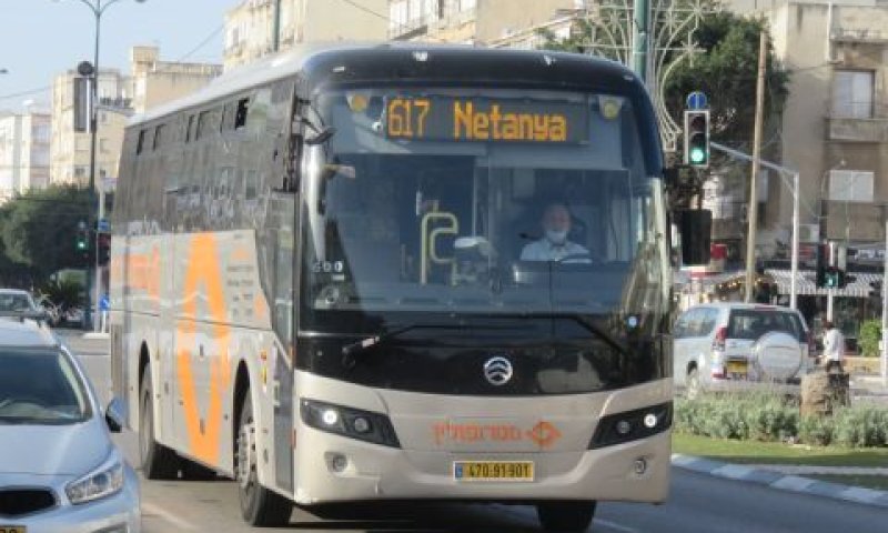 אילוסטרציה [צילום: שמואל וולף]