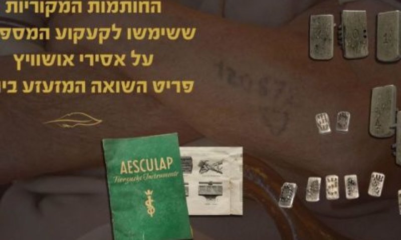 ערכת המחטים שהוצעה למכירה [צילום: בית המכירות צולמנ'ס]