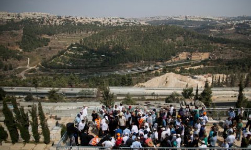 יש צורך בהיתר [צילום: יונתן זינדל, פלאש 90]