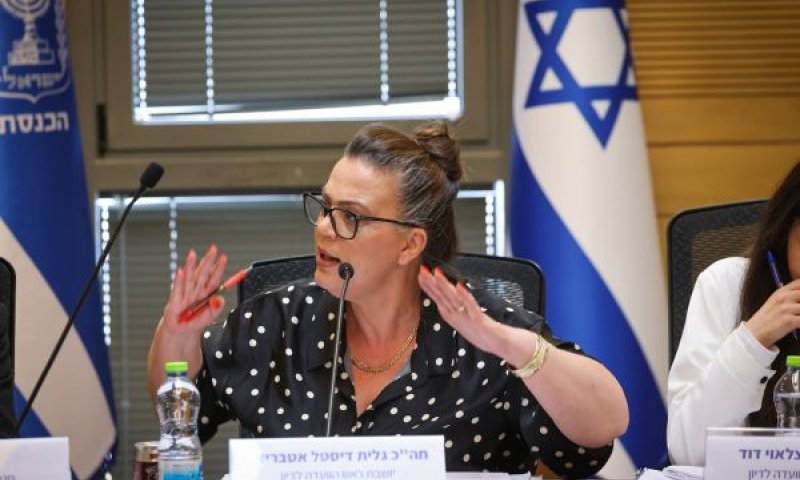 דיסטל. מי ישלוט במסך &ndash; השוק, המדינה או הכוח הכלכלי [צילום: נועם מושקוביץ/דוברות הכנסת]