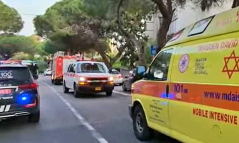 ניידות סמוך לזירת הרצח, הבוקר [צילום: תיעוד מבצעי מד"א]