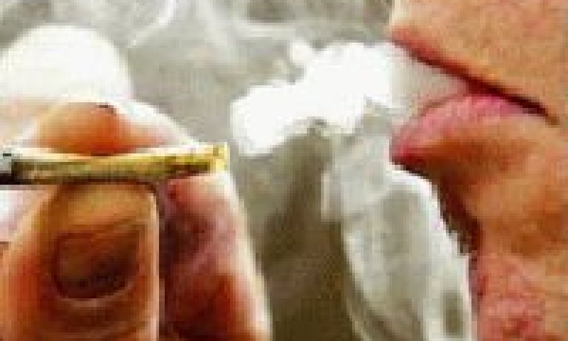 שפע של ערכות לשיבוש בדיקת שתן לגילוי סמים [צילום: AP]