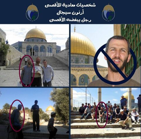 המודעות נגד ארנון סגל