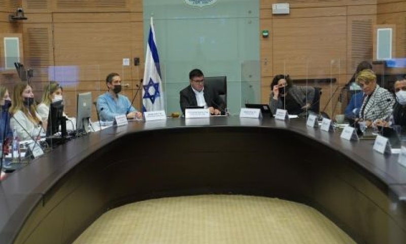 הדיון בוועדת הכלכלה [צילום: דני שם-טוב/דוברות הכנסת]