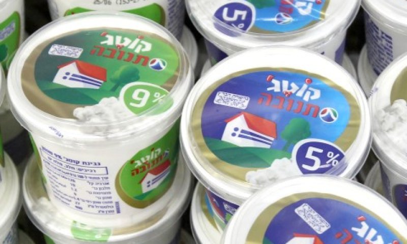 [צילום: פלאש 90]