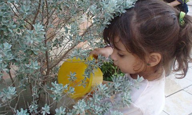האב ערך טקס הטבלה לבת; האם הוציאה נגדו צו הרחקה [צילום אילוסטרציה: יח"צ]