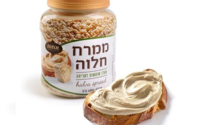[צילום: יעל האן]